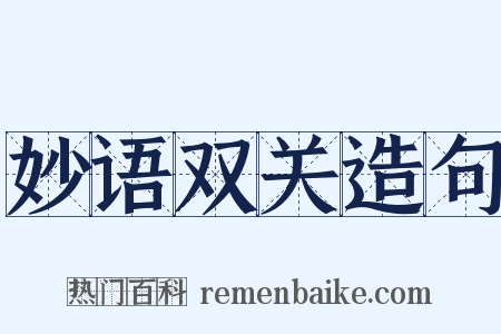 妙语双关造句是什么意思的图片